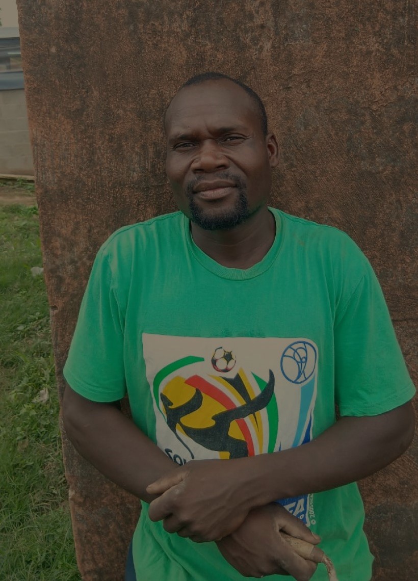 affordable tree felling wilson