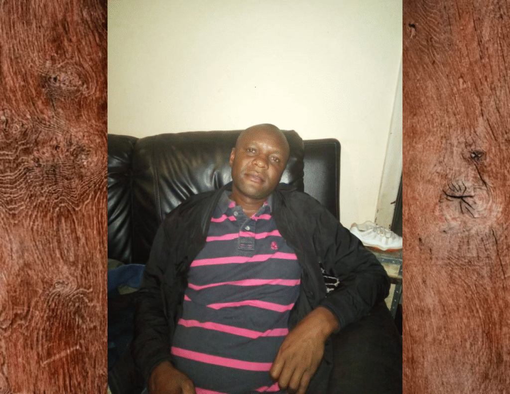 denis ceo affordable tree felling